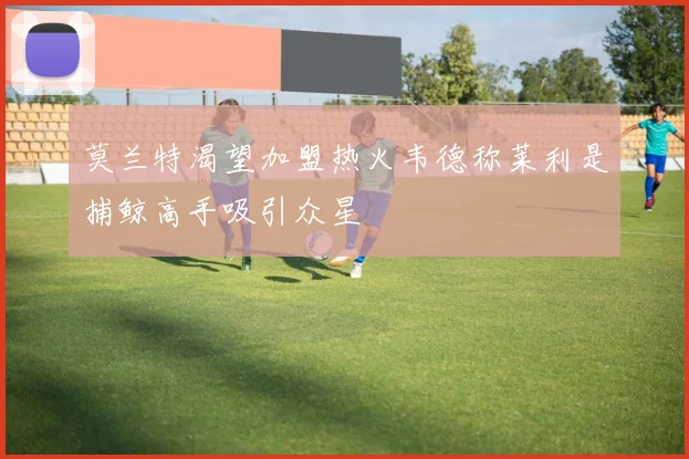 莫兰特渴望加盟热火韦德称莱利是捕鲸高手吸引众星