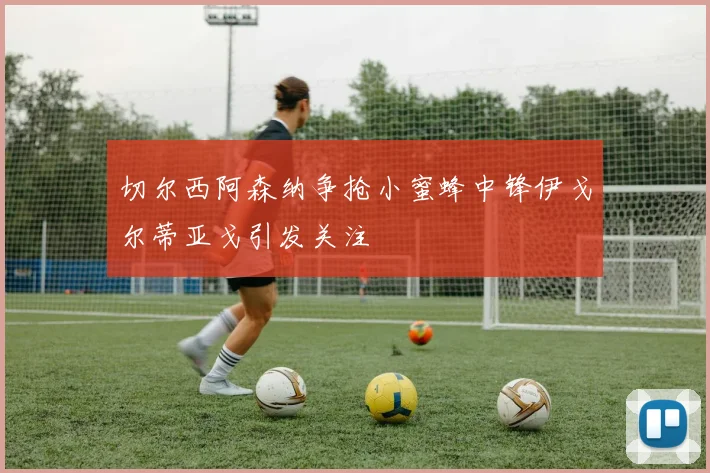 切尔西阿森纳争抢小蜜蜂中锋伊戈尔蒂亚戈引发关注